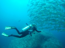 Diving at Caño Island